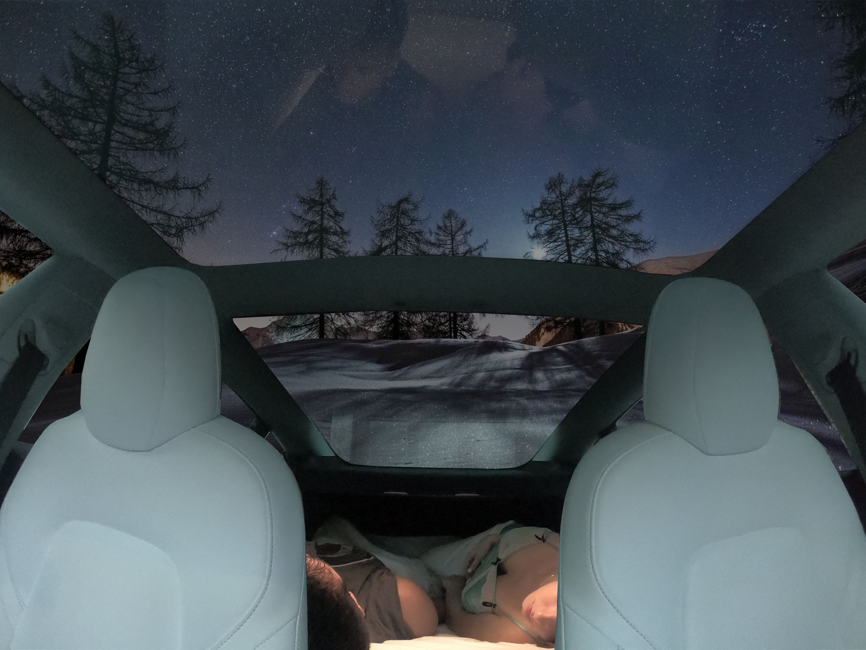TESMAT | Car Camping Mattress and Privacy Screen for Tesla